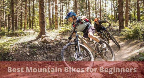 best mountain bikes for beginners